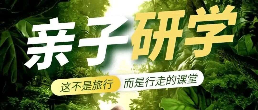 把课堂搬进雨林：西双版纳六日亲子研学，让孩子在自然中破茧成蝶